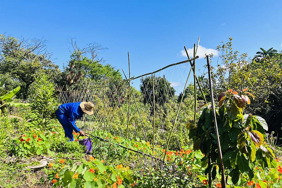 PRESS RELEASE – SCTIE Champions Investment Models that Drive SMME Growth and Skills Development